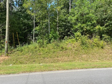 0 Crow Valley Rd unit 117147, Dalton, GA 30720 - photo 6