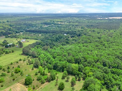 3418 New Hope Trail, Dawson, GA 39842 - photo 4