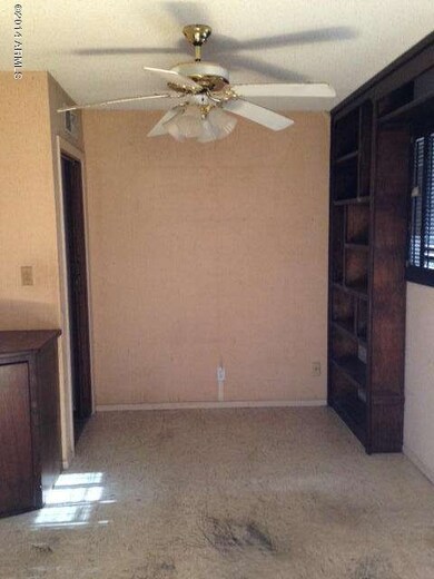 photo 2 (2)