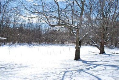Back/Side yard