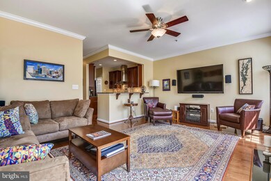 1307 Lowman St, Baltimore, MD 21230 - photo 5