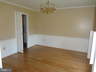 5902 6th St, Falls Church, VA 22041 - photo 3