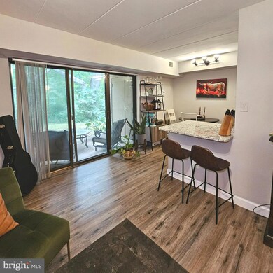 2313 Freetown Ct unit 1B, Reston, VA 20191 - photo 7