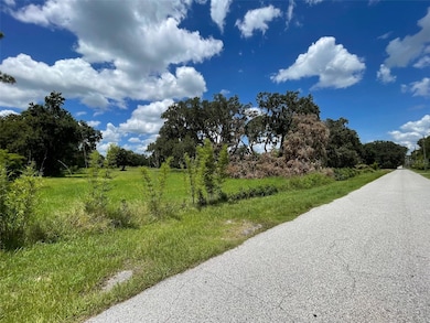 26831 Bloomfield Ave, Yalaha, FL 34797 - photo 3