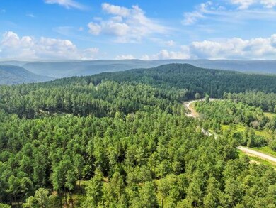 0 Birds Eye Way unit 1519255, Guild, TN 37340 - photo 4