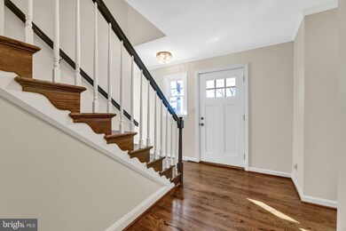 1113 Bellemore Rd, Baltimore, MD 21210 - photo 6