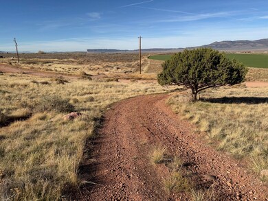 1714 N Foothill Dr, Paragonah, UT 84760 - photo 4