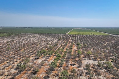 2025-08-29-Earlimart-78-acres-almonds-00