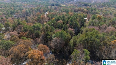 0 Jerry Dr unit 21437056, McCalla, AL 35111 - photo 2