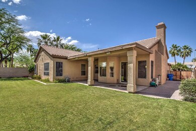 Grassy back yard
