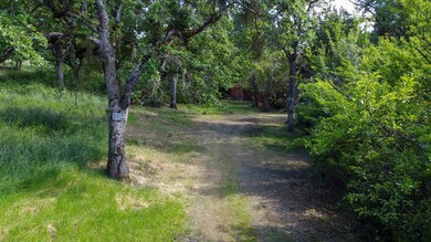 Foothill Driveway
