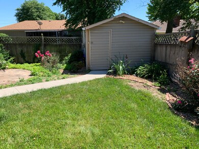 back yard