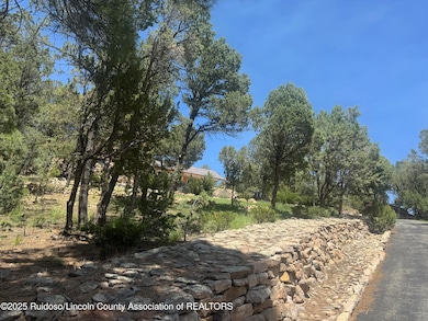 117 Paso Monte Loop, Alto, NM 88312 - photo 2