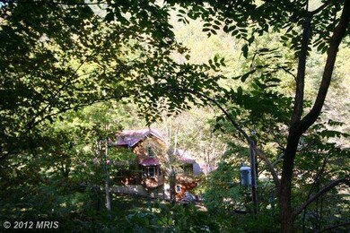 0 Snowy Mountain Rd unit 1003901950, Circleville, WV 26804 - photo 6