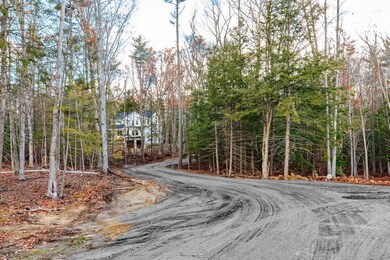 driveway to your home - wooded surround - great privacy