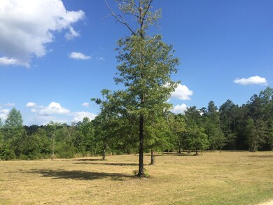 9.3 Acres R Moran Rd, McHenry, MS 39561 - photo 4