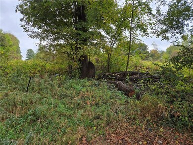 V/L Parkman Rd, Windham, OH 44288 - photo 4