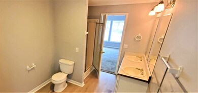 Owner's Bathroom