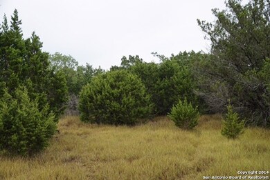 24455 Scenic Loop Rd, San Antonio, TX 78255 - photo 3