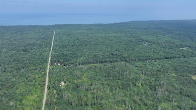 79900 Tar Paper Aly, Brule, WI 54820 - photo 2