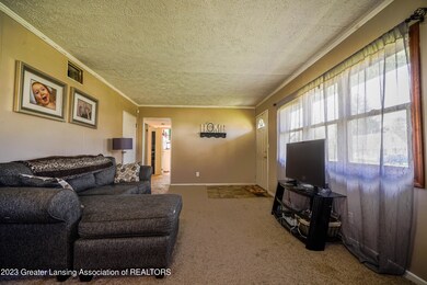 920 Andrus Ave, Lansing, MI 48917 - photo 4