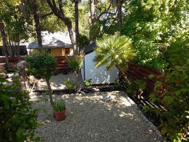 Backyard-view 3
