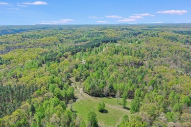 602 Gibson Rd, Clarkesville, GA 30523 - photo 7