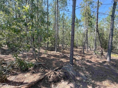 KF 2 State Road S-28-354 unit KF 2, Kershaw, SC 29067 - photo 7