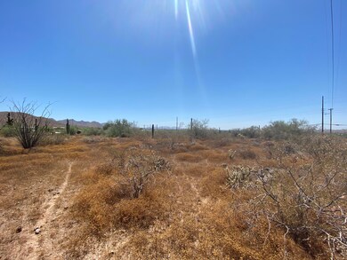 IMG-1686