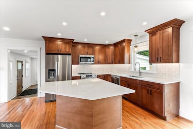 919 S Concord Rd, West Chester, PA 19382 - photo 6