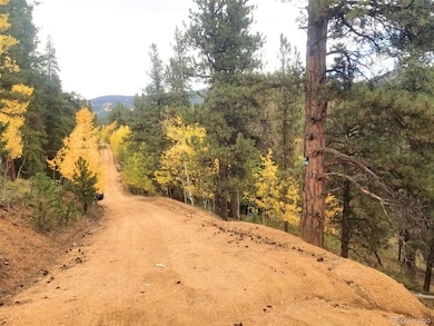 342 & 366 Brown Rd unit 70,71,72,73, Bailey, CO 80421 - photo 2