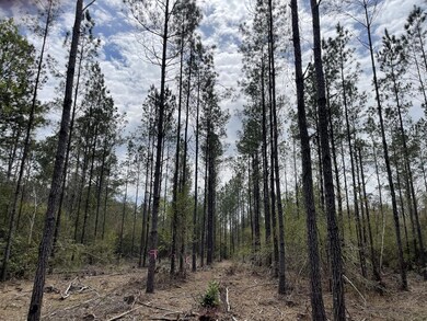 0 Stanford Lake Rd unit 140592, Poplarville, MS 39470 - photo 2