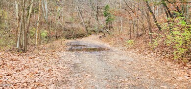 hwy 61 drive