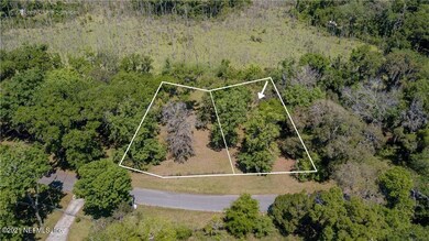LOT 24 Duck Lake Dr, Fernandina Beach, FL 32034 - photo 4