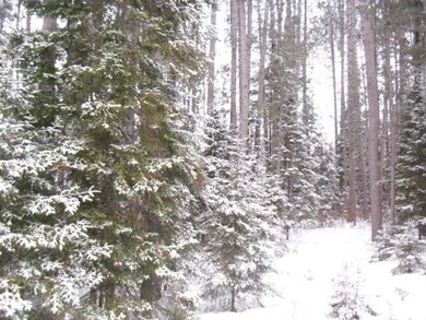 ON Cth Cc, Tomahawk, WI 54487 - photo 5