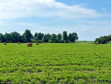 1500X 60th St SW, Cokato, MN 55321 - photo 4