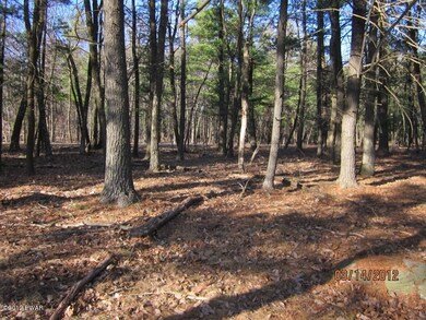 50 Song Mtn Dr, Tafton, PA 18464 - photo 3