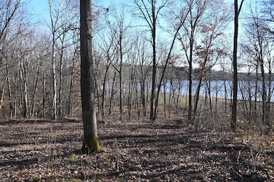 TBD Ottawa Dr, Browerville, MN 56438 - photo 5