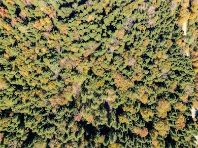 30 Bentley Ln, Jericho, VT 05465 - photo 3