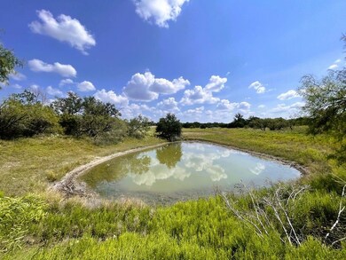 153 Live Oak Mott, Goldthwaite, TX 76844 - photo 2
