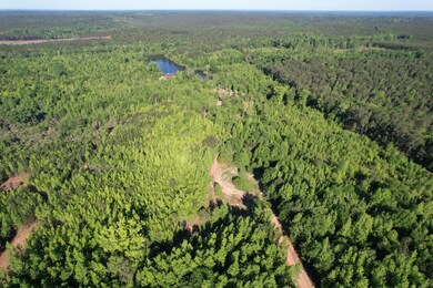 DJI_0329