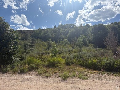 347 Juniper Dr unit 481, Fish Haven, ID 83287 - photo 6