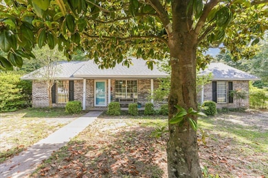 Beautiful Magnolia tree and sidewalk to mailbox