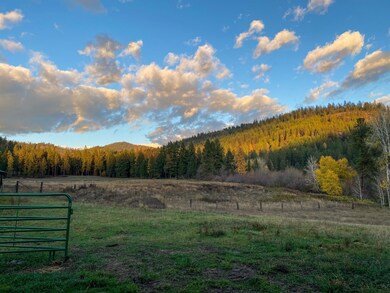 D-LOT 3 Immel Rd, Chewelah, WA 99109 - photo 3