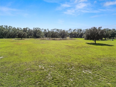 1828 Gator Creek Ranch Rd, Lakeland, FL 33809 - photo 4