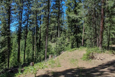 Level Easy Access Driveway