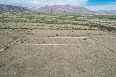 DJI_0019-lines