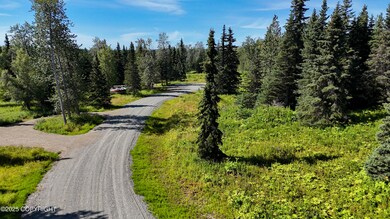 15466 Tovarish Rd, Ninilchik, AK 99639 - photo 4