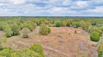 TBD S Highway 77, Rockdale, TX 76567 - photo 7