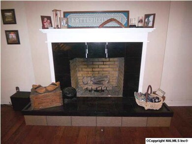 Fireplace with marble surround.